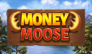 #Slot-thumb