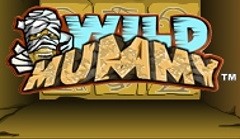 #Slot-thumb