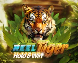 #Slot-thumb